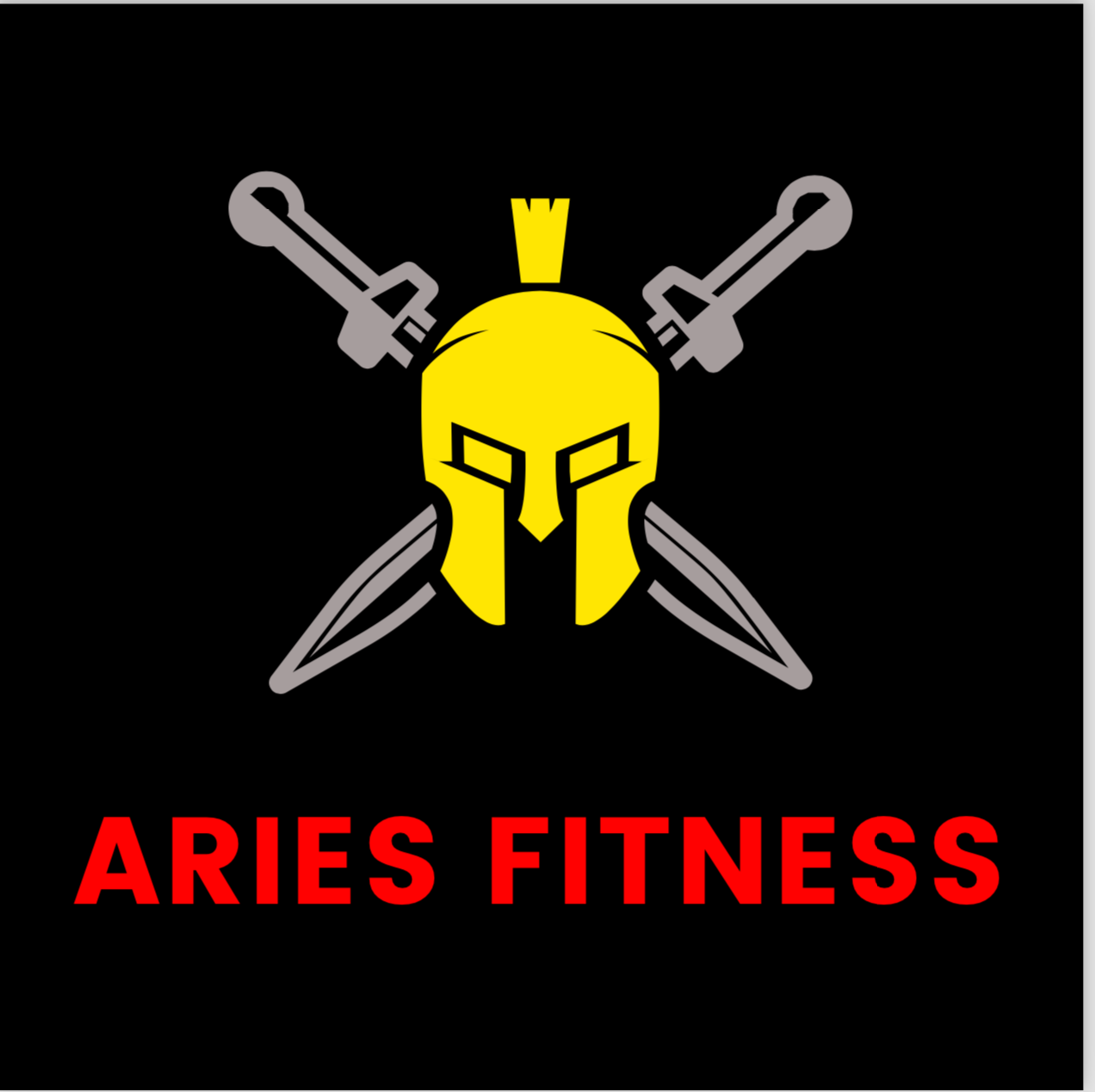 Aries Pro Fitness